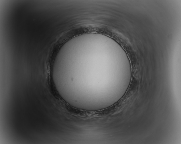 X0000087521061200705181008