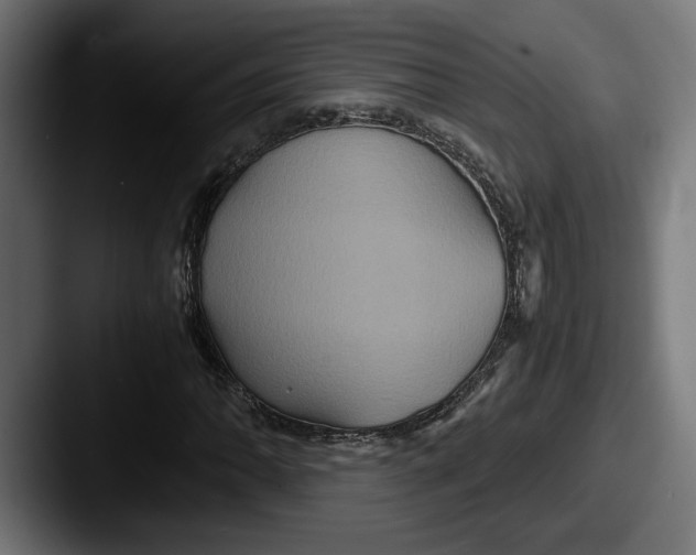 X0000087521062200705181008