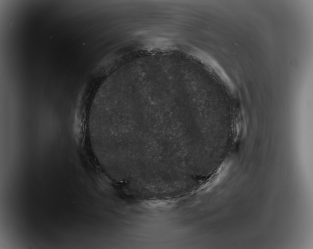 X0000087521063200705181008