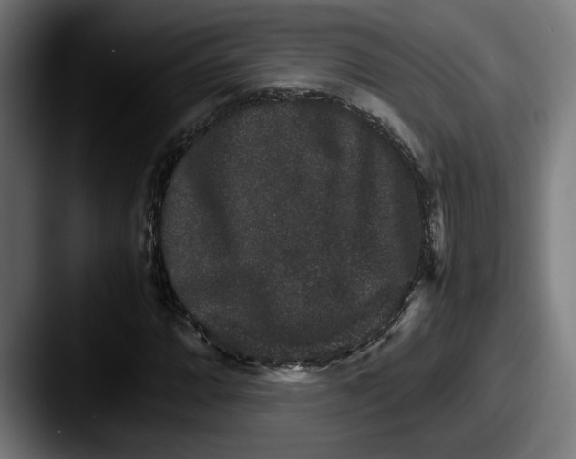 X0000087521064200705181008