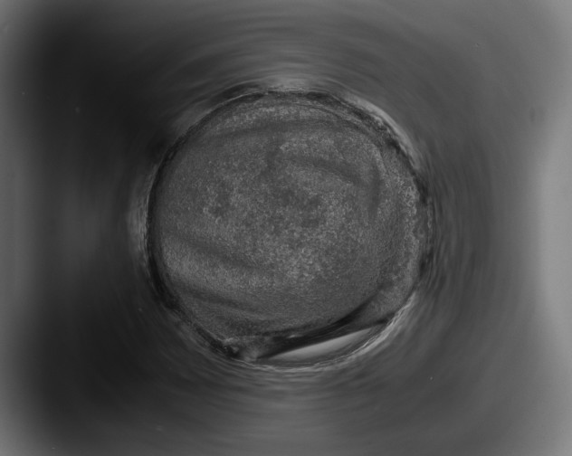 X0000087521065200705181008