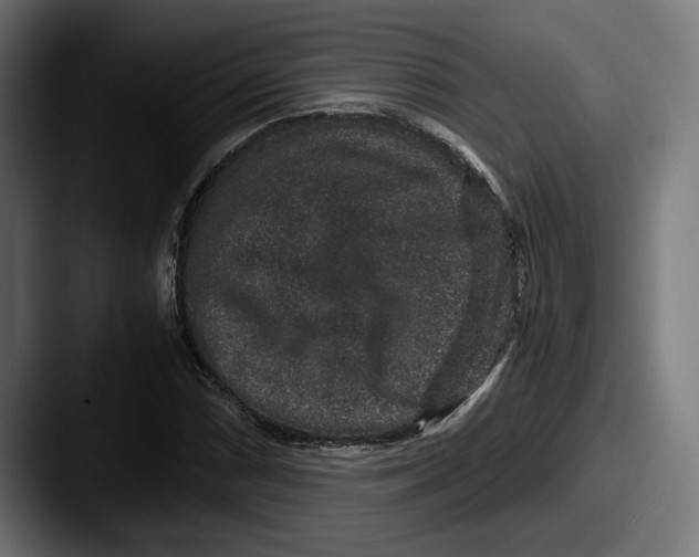 X0000087521066200705181008