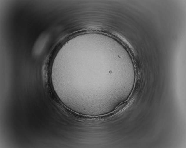 X0000087521067200705181008