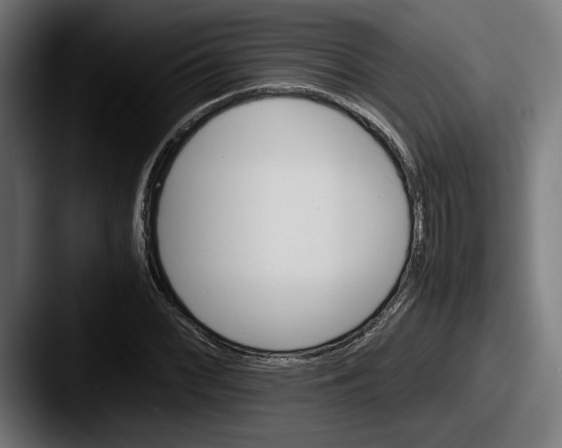 X0000087521068200705181008