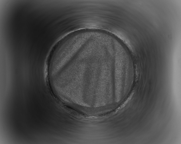 X0000087521070200705181008