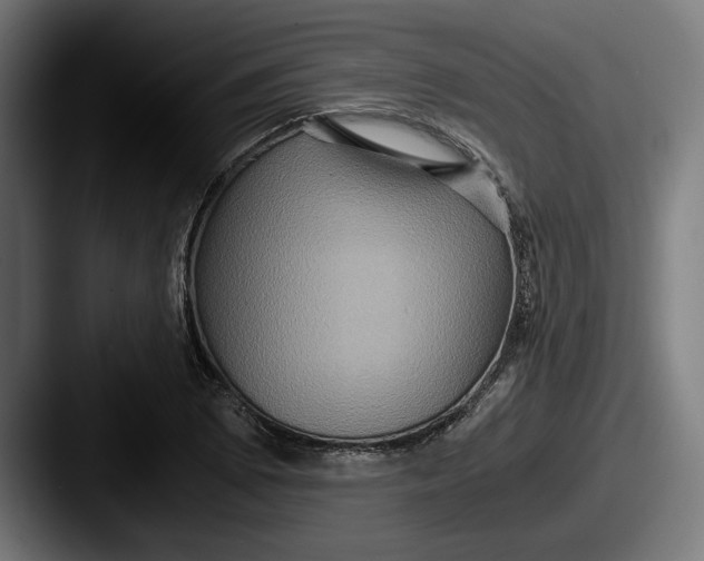 X0000087521073200705181008