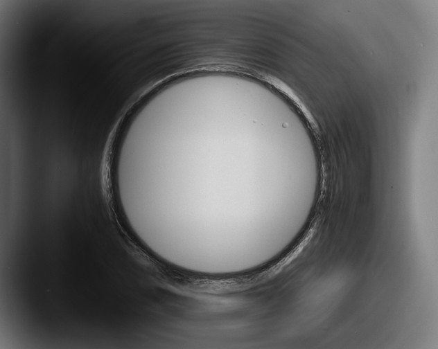 X0000087521074200705181008