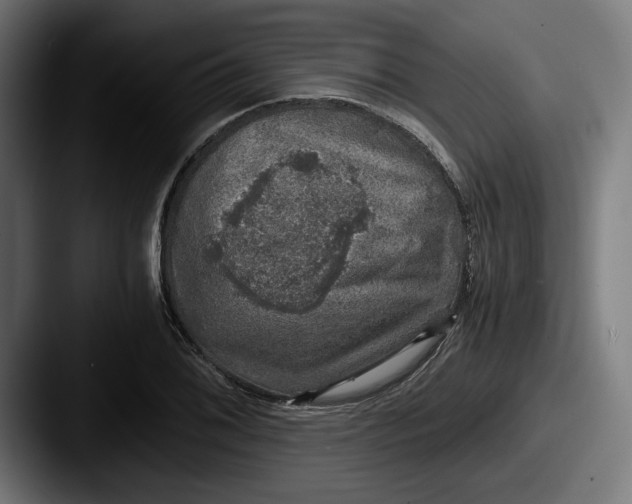 X0000087521076200705181008