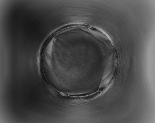 X0000087521077200705181008