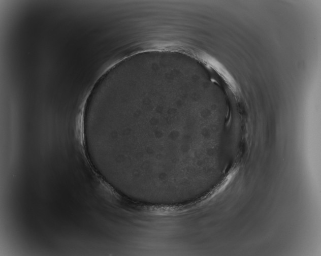 X0000087521079200705181008