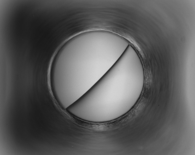 X0000087521080200705181008