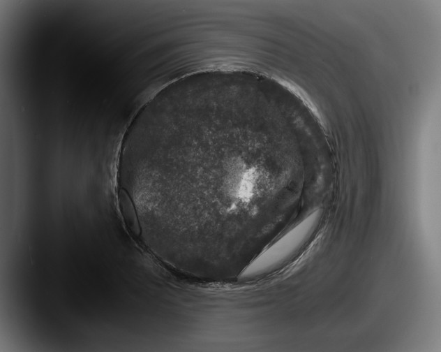 X0000087521081200705181008