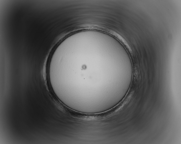 X0000087521082200705181008