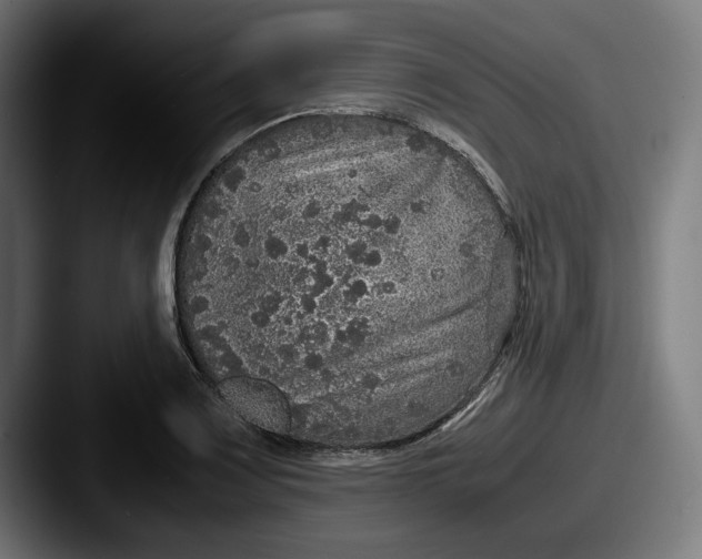 X0000087521083200705181008