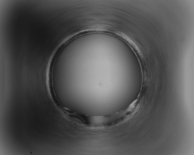 X0000087521085200705181008