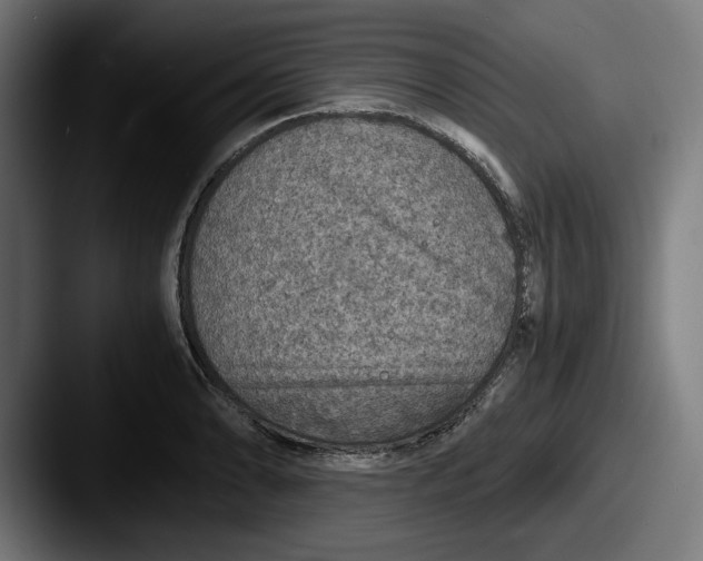 X0000087521086200705181008