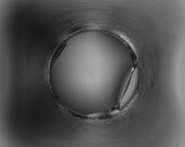 X0000087521089200705181008