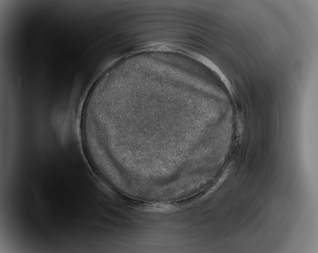 X0000087521090200705181008