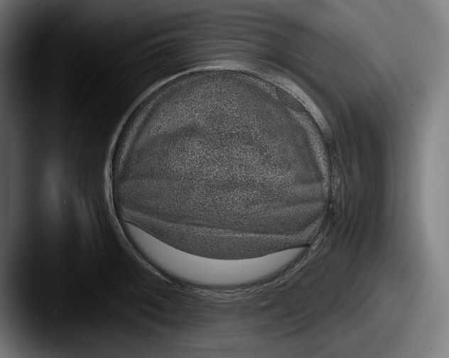 X0000087521092200705181008