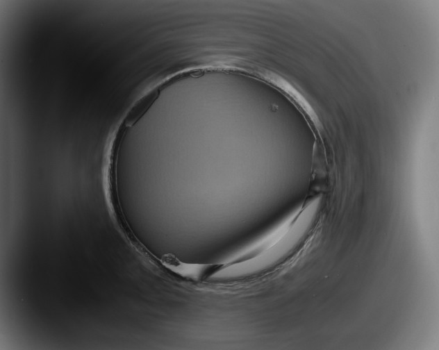 X0000087521093200705181008