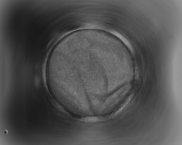 X0000087521094200705181008