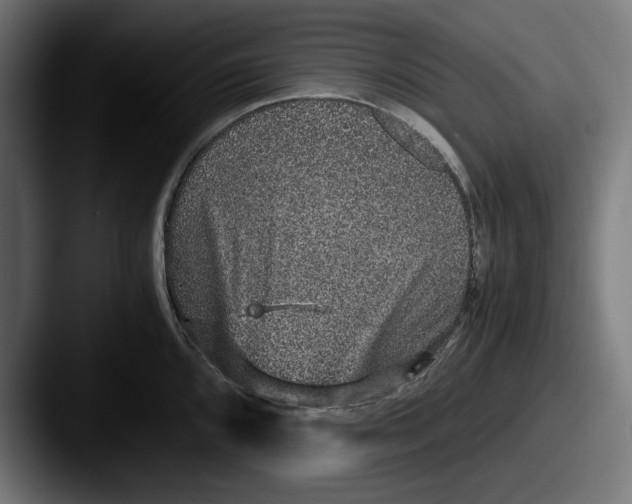 X0000087521096200705181008