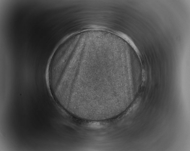 X0000087521098200705181008