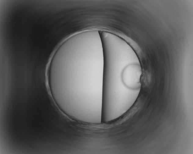 X0000087521102200705181008