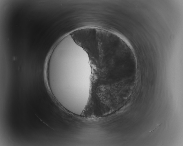 X0000087521104200705181008