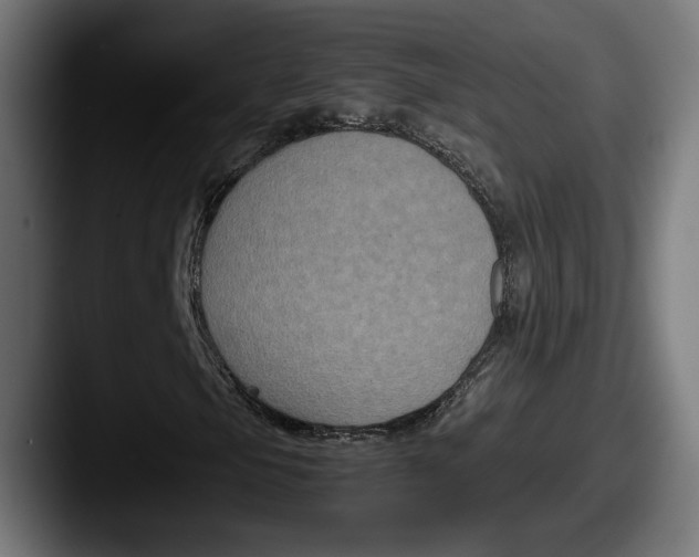 X0000087521105200705181007