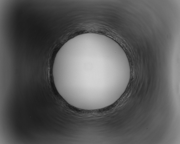 X0000087521108200705181007