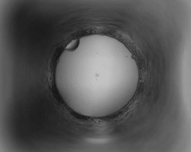 X0000087521109200705181007