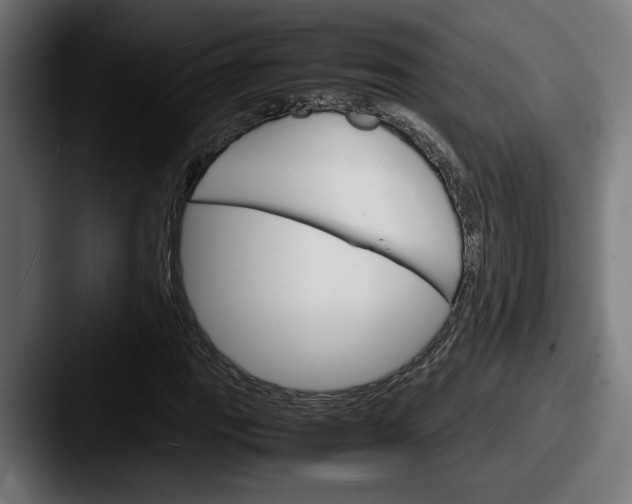 X0000087521111200705181007