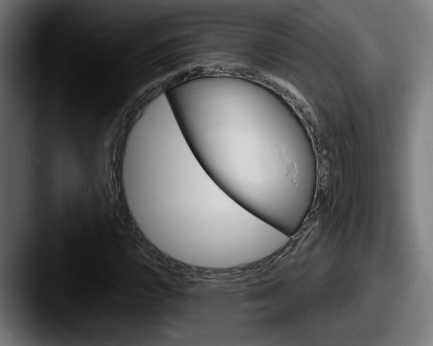 X0000087521112200705181007