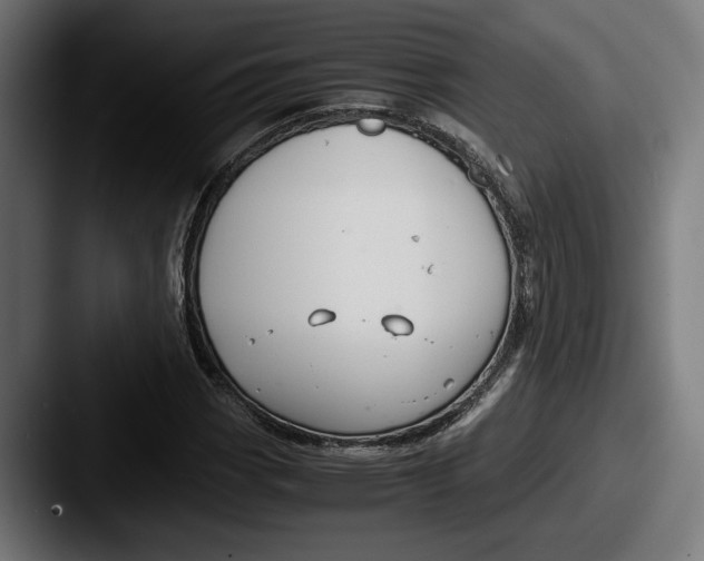 X0000087521113200705181007