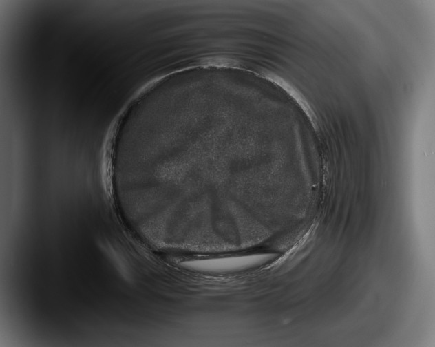 X0000087521115200705181007