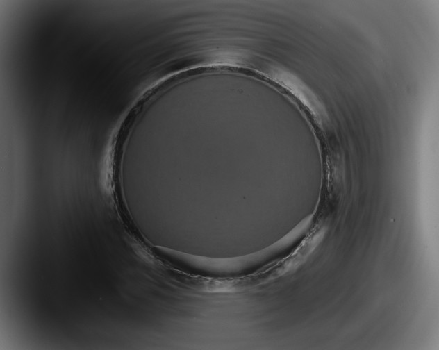 X0000087521116200705181007