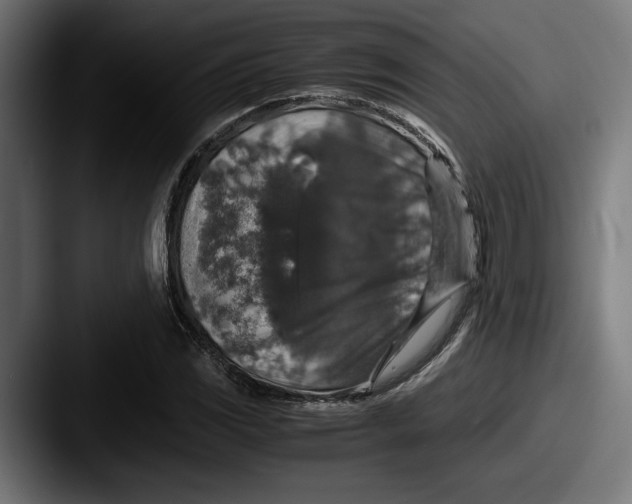 X0000087521117200705181007