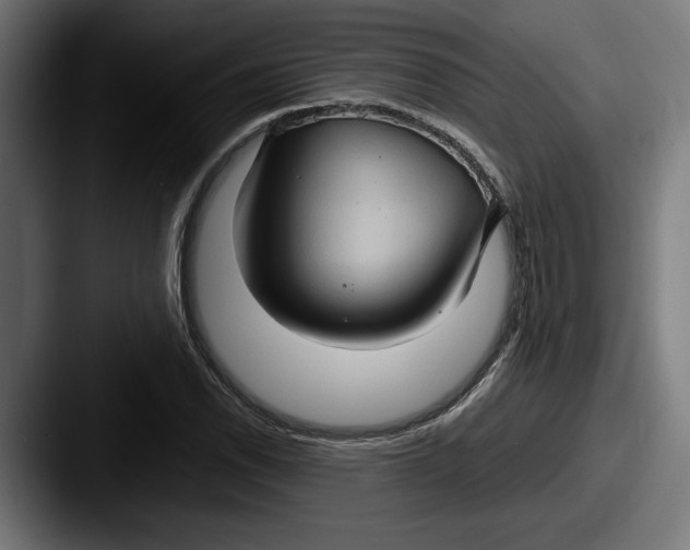 X0000087521118200705181007