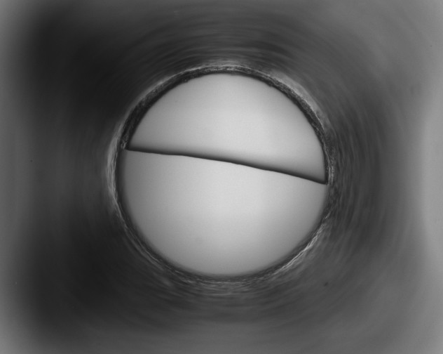 X0000087521119200705181007