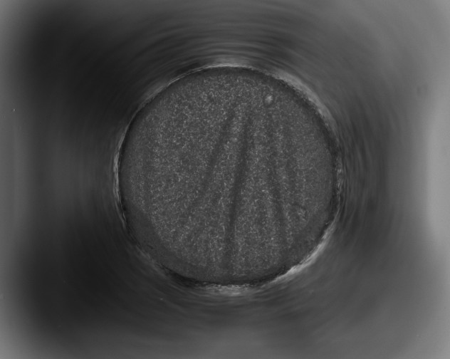 X0000087521121200705181007