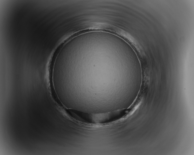 X0000087521122200705181007