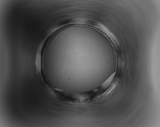 X0000087521123200705181007