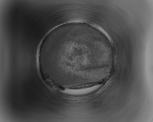 X0000087521124200705181007