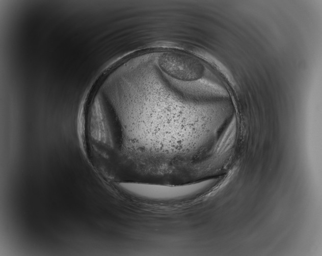 X0000087521125200705181007