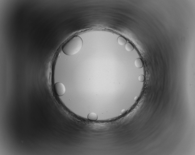 X0000087521126200705181007