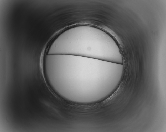 X0000087521127200705181007