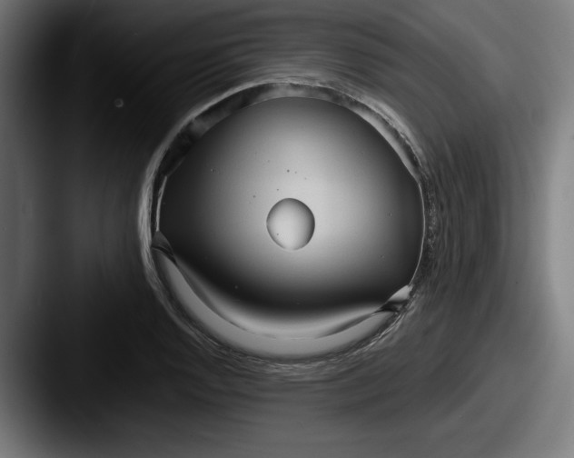 X0000087521128200705181008