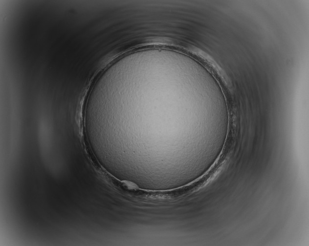 X0000087521129200705181008