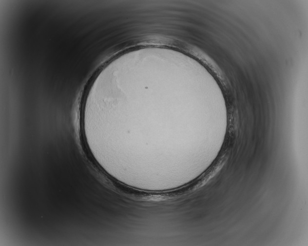 X0000087521130200705181008